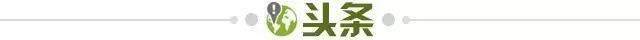 麻将胡了2-【早报】“面子”之战，今夜打响！